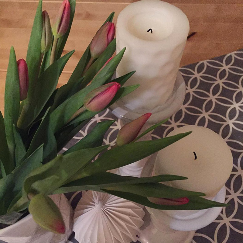 tulpen-pink-instagram-jilifeeflowers
